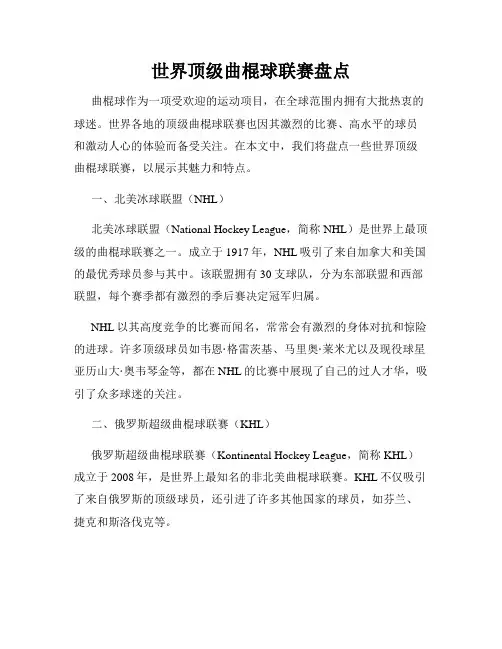 世界顶级曲棍球联赛盘点