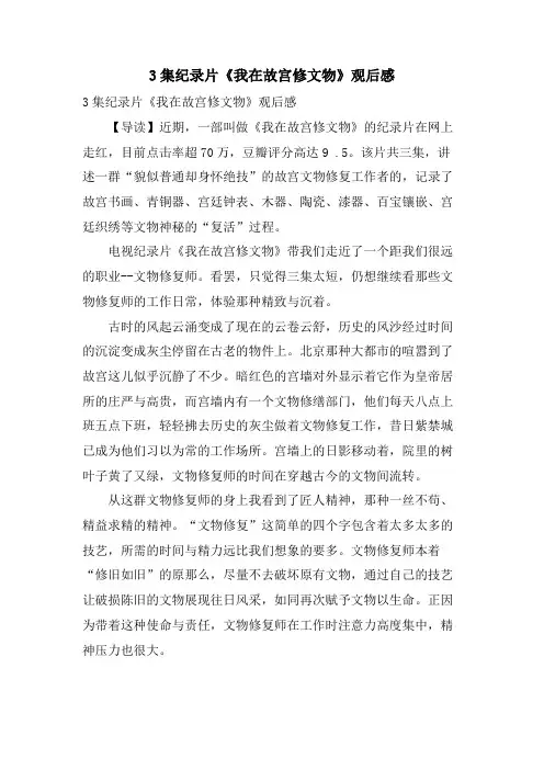 3集纪录片《我在故宫修文物》观后感