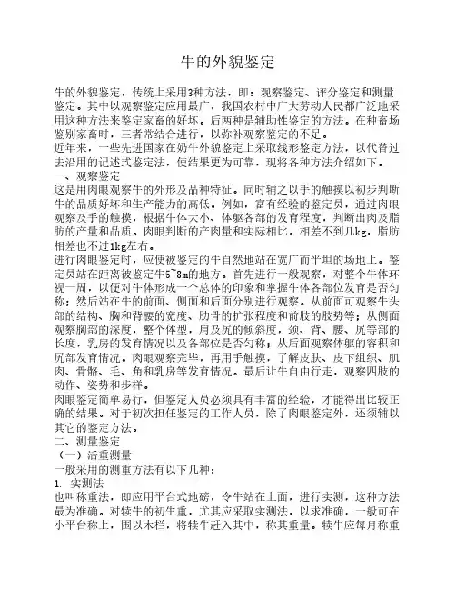 牛的外貌鉴定
