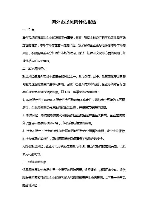 海外市场风险评估报告
