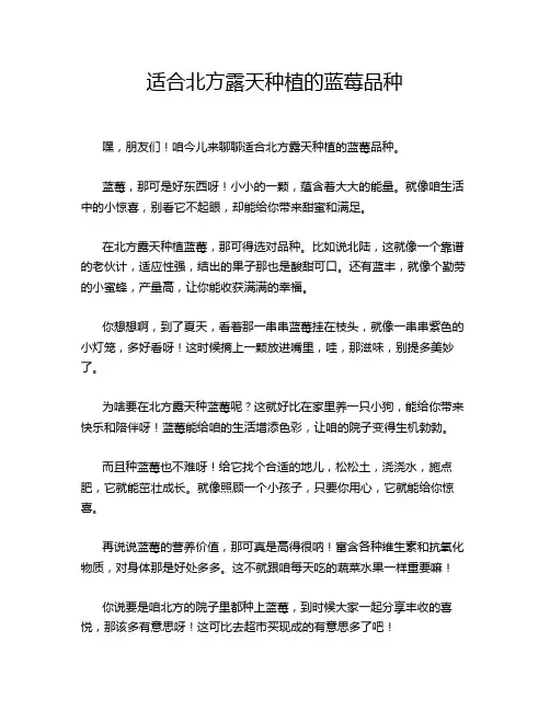 适合北方露天种植的蓝莓品种