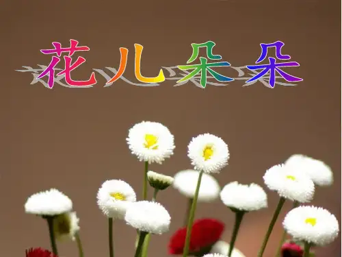四年级上册美术课件-第六课 花儿朵朵 ︳湘美版(2014秋)(共17张PPT)