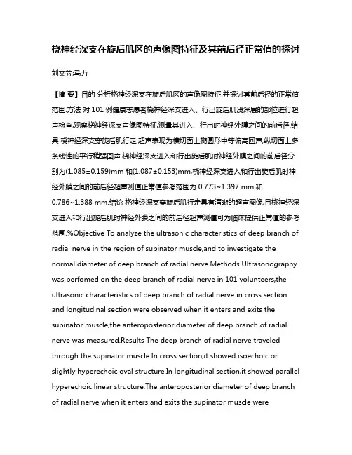 桡神经深支在旋后肌区的声像图特征及其前后径正常值的探讨
