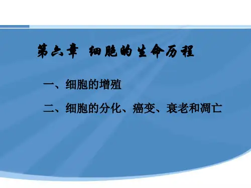 高中生物必修一复习全