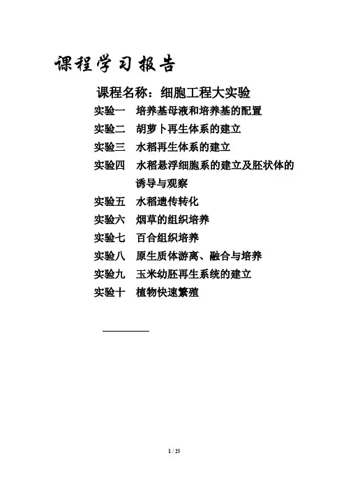 生物技术细胞工程实验报告