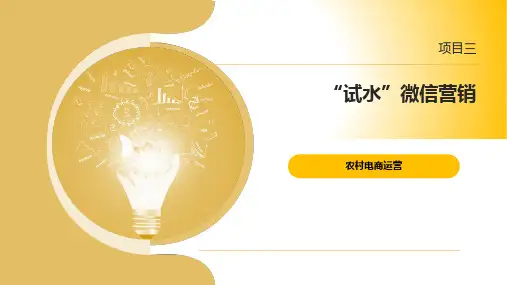 农村电商运营 项目3   “试水”微信营销