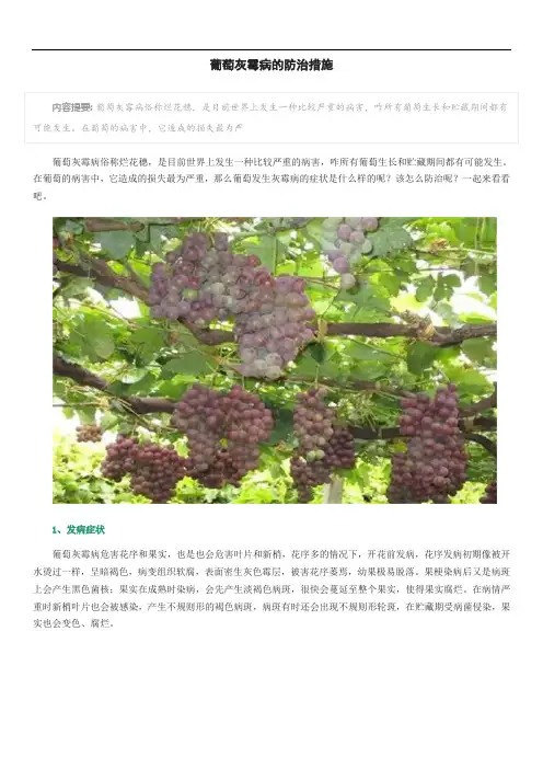 葡萄灰霉病的防治措施