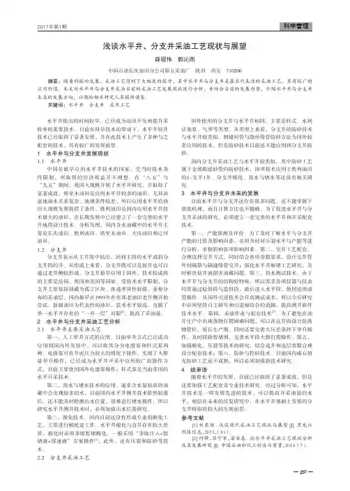 浅谈水平井、分支井采油工艺现状与展望