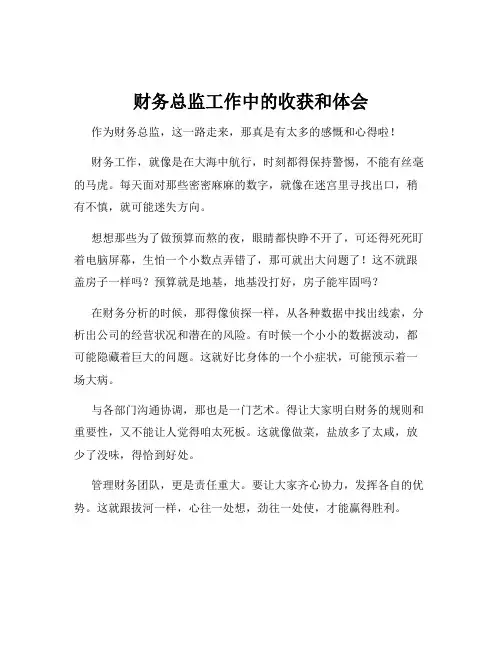 财务总监工作中的收获和体会