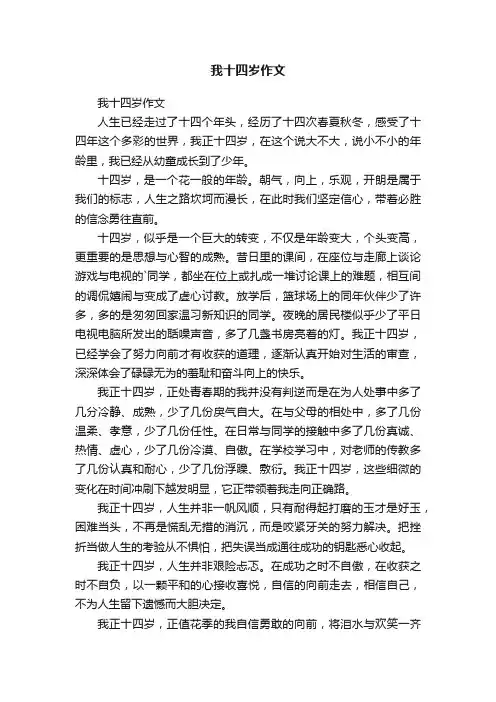 我十四岁作文