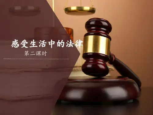 感受生活中的法律-经典教学教辅文档