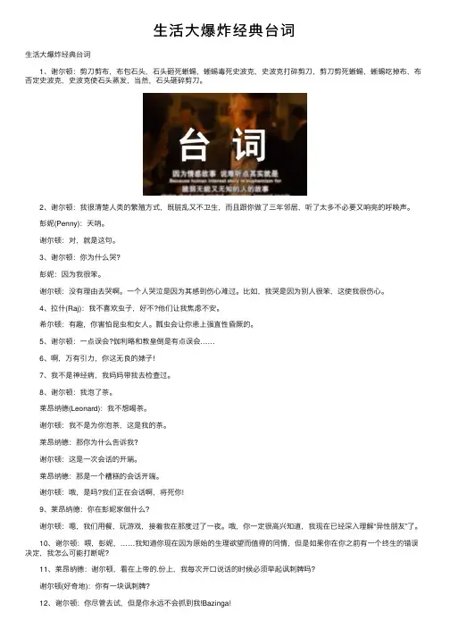 生活大爆炸经典台词