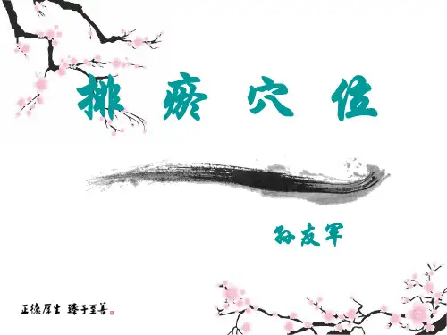 排瘀穴位ppt课件