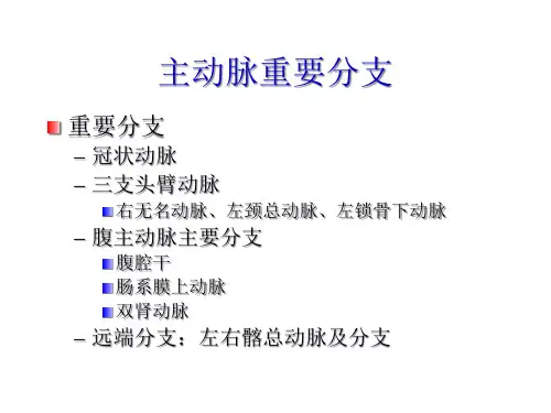 主动脉瘤MDCT诊断与临床课件