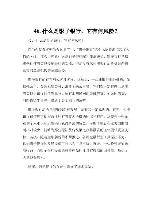46. 什么是影子银行,它有何风险？
