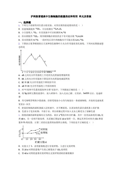 沪科版普通高中生物细胞的能量供应和利用 单元及答案