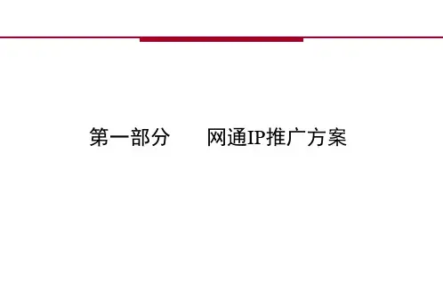 xxip推广策划方案PPT课件