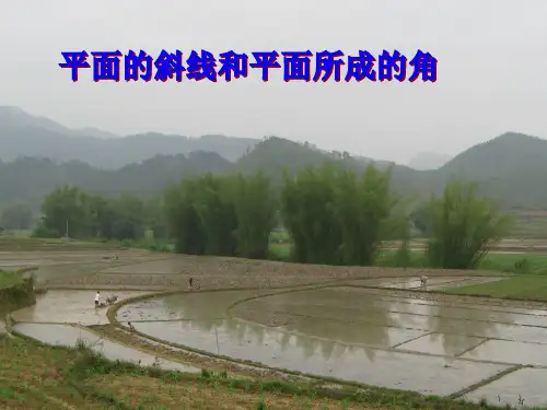 平面的斜线和平面所成的角
