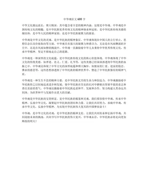中华魂征文600字