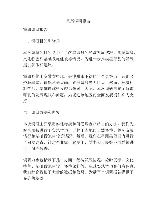 霍邱调研报告
