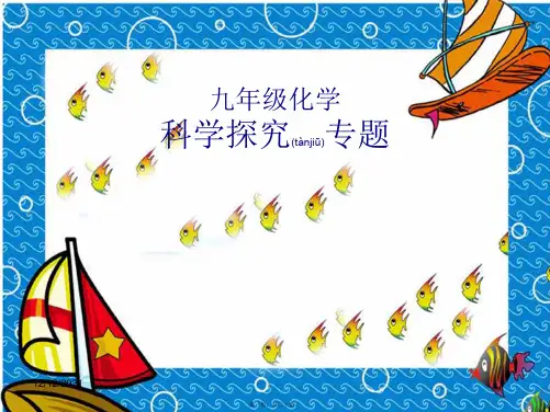 中考化学专题复习 科学探究题课件