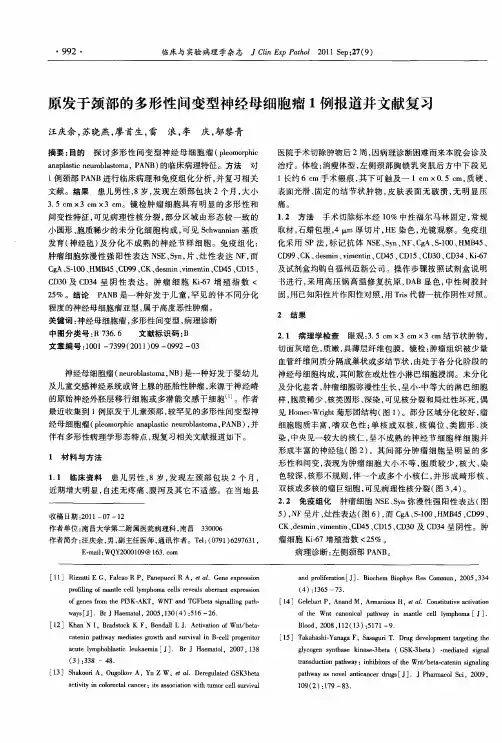 原发于颈部的多形性间变型神经母细胞瘤1例报道并文献复习