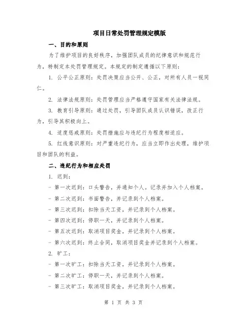 项目日常处罚管理规定模版
