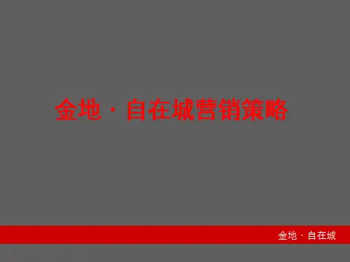 216-金地自在城房地产营销策略(206)页