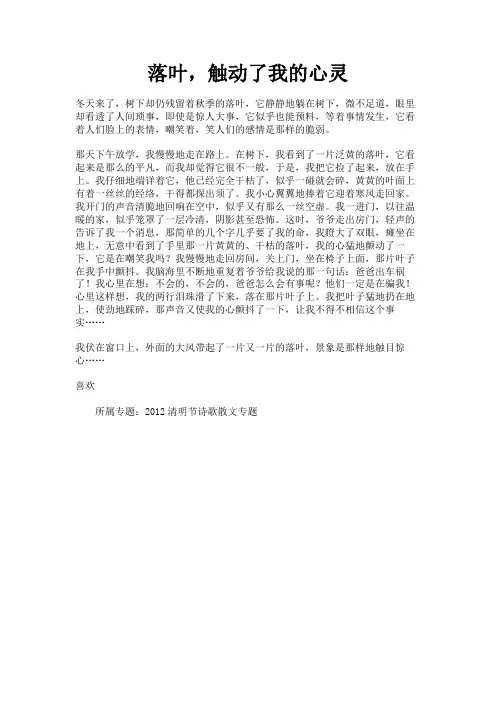 落叶,触动了我的心灵