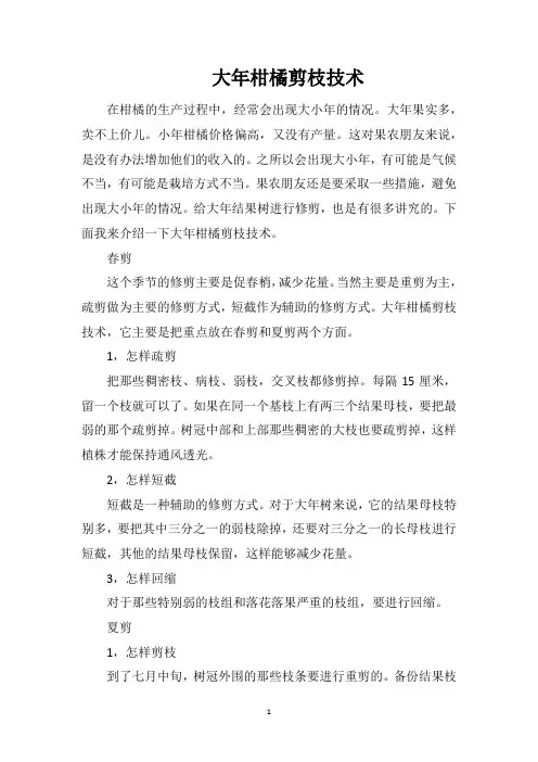 大年柑橘剪枝技术