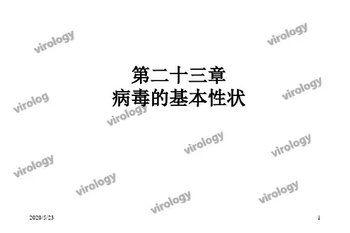 23病毒的基本性状