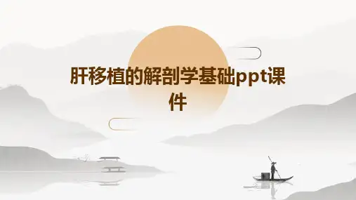 肝移植的解剖学基础ppt课件