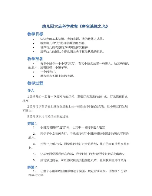 幼儿园大班科学教案《密室逃脱之光》