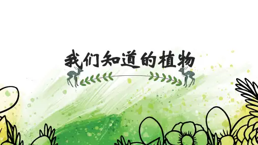 一年级科学上册课件1.1我们知道的植物 教科版