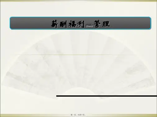 薪酬福利管理(PPT)