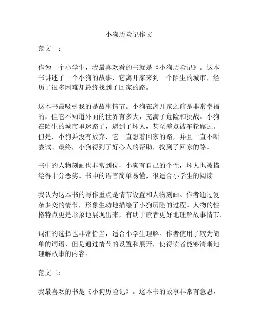 小狗历险记作文