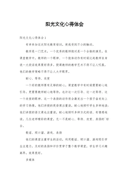 阳光文化心得体会