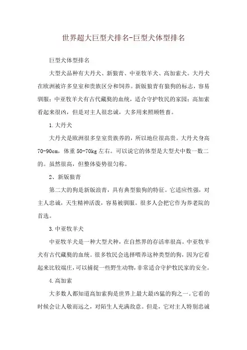 世界超大巨型犬排名-巨型犬体型排名