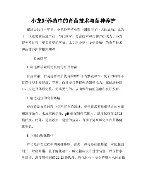 小龙虾养殖中的育苗技术与苗种养护