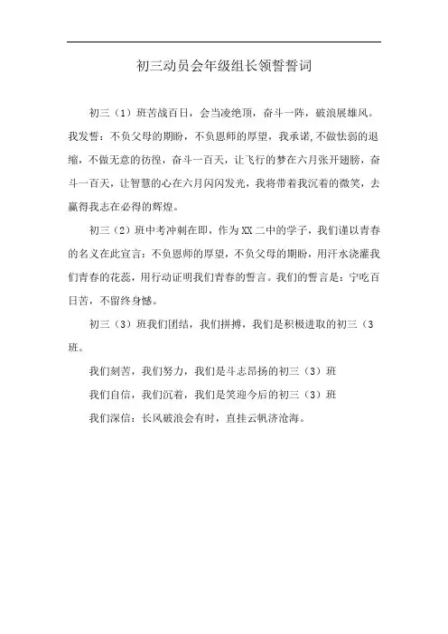 初三动员会年级组长领誓誓词