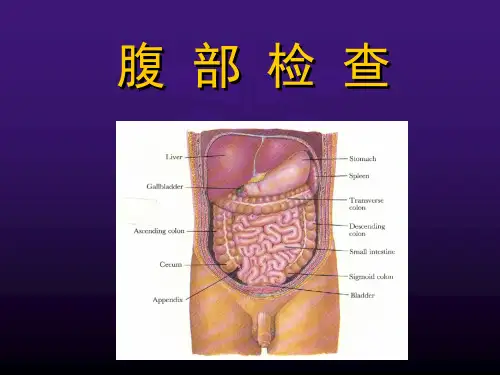 健康评估 腹部检查