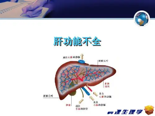 病理学与病理生理学肝功能不全 ppt课件