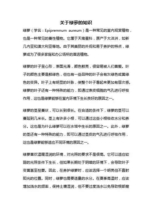 关于绿萝的知识