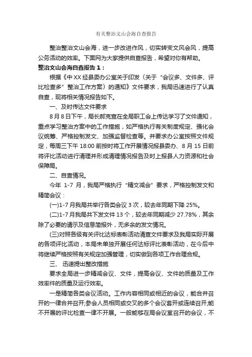 有关整治文山会海自查报告