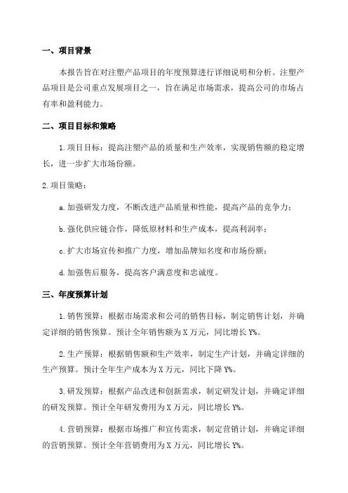 注塑产品项目年度预算报告