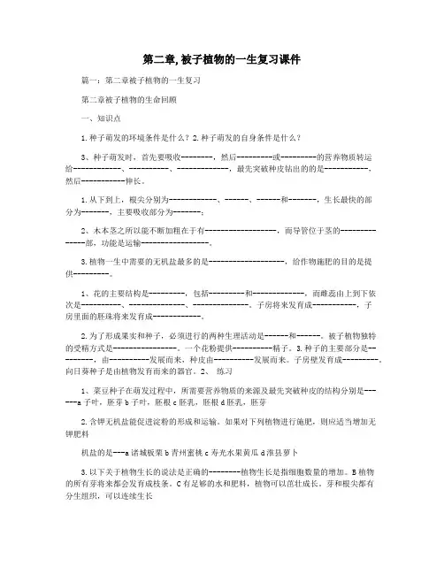 第二章,被子植物的一生复习课件