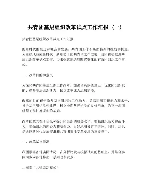 共青团基层组织改革试点工作汇报 (一)