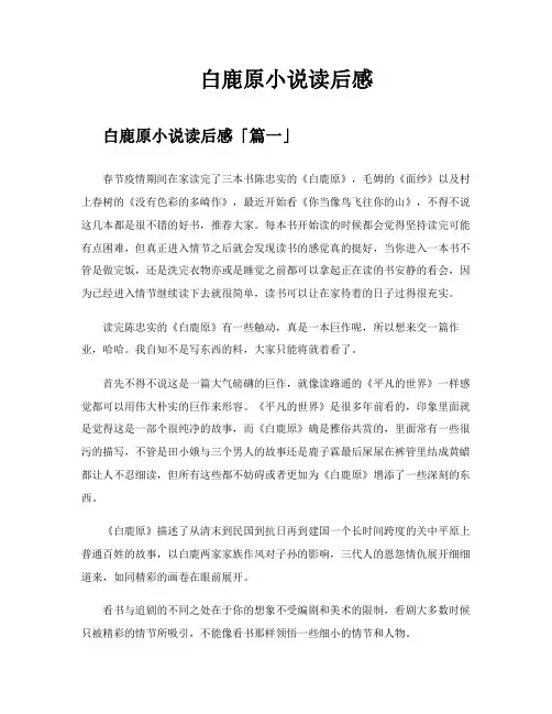 白鹿原小说读后感
