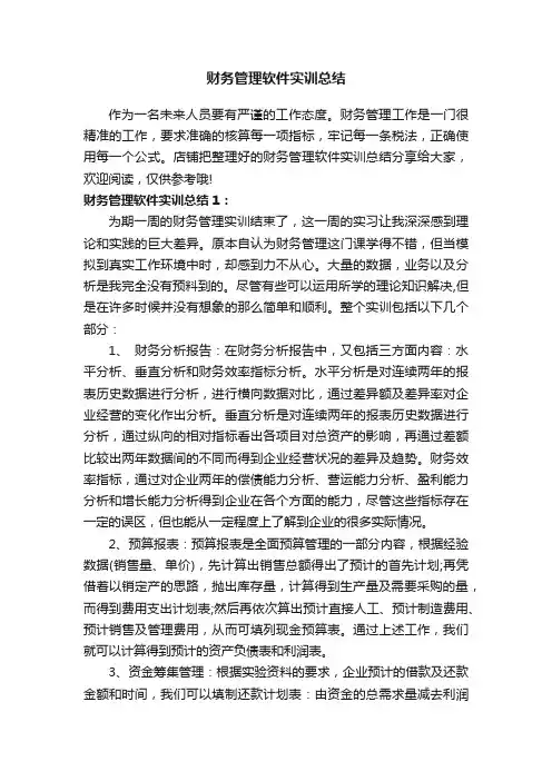 财务管理软件实训总结