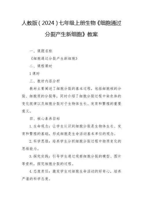 细胞通过分裂产生新细胞教案 2024-2025学年人教版(2024)七年级上册生物